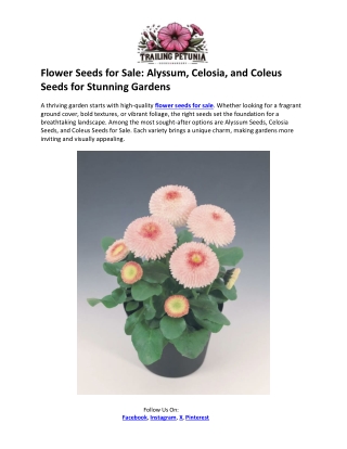 Trailing Petunia- Coleus Seeds for Sale