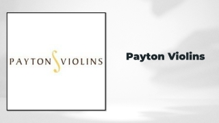 Best Violin Bow for Beginner