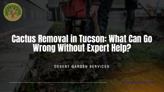 Cactus Removal in Tucson What Can Go Wrong Without Expert Help
