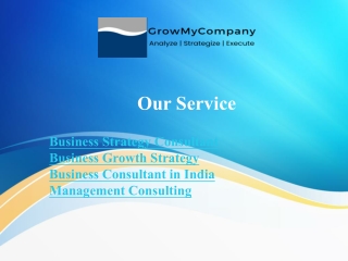 Business Strategy Consultant
