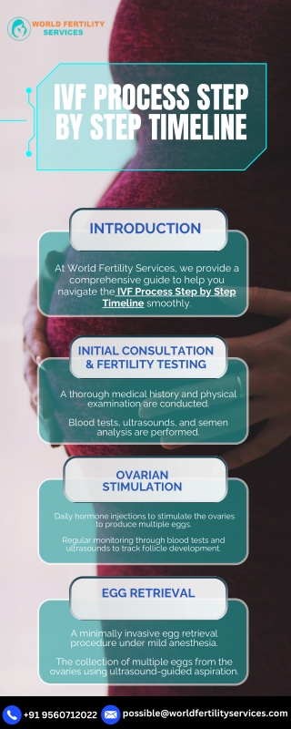 IVF Process Step by Step Timeline