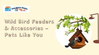Wild Bird Feeders & Accessories – Pets Like You