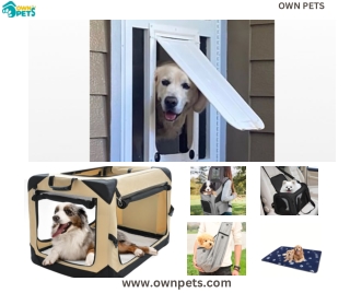 Cat Screen Door for Effortless Outdoor Access