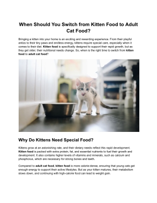 When Should You Switch from Kitten Food to Adult Cat Food?