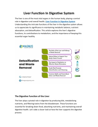 Liver Function In Digestive System