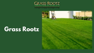 HOW TO MAINTAIN AN ORGANIC LAWN - Grass Rootz
