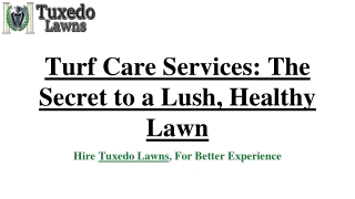 Turf Care Services
