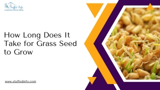 How Long Does It Take for Grass Seed to Grow