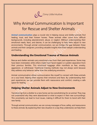 Why Animal Communication Is Important for Rescue and Shelter Animals
