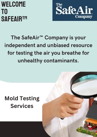 Mold Testing and Indoor Air Quality in Los Feliz: Breathe Easy at Home
