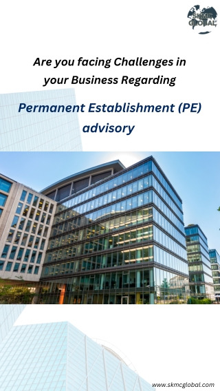 Permanent Establishment (PE) advisory