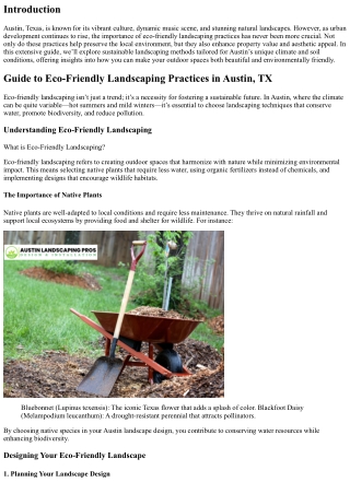 Guide to Eco-Friendly Landscaping Practices in Austin, TX