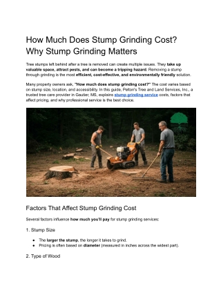 How Much Does Stump Grinding Cost_ Why Stump Grinding Matters
