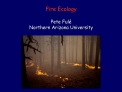 fire ecology pete ful northern arizona university