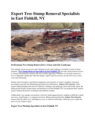 Expert Tree Stump Removal Specialists in East Fishkill, NY