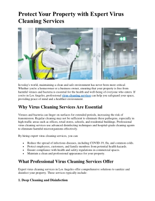 Protect Your Property with Expert Virus Cleaning Services