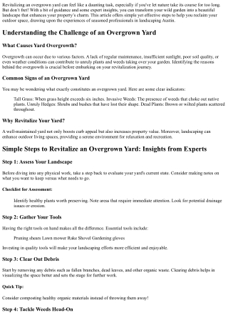 “Simple Steps to Revitalize an Overgrown Yard: Insights from Experts”