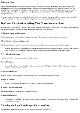 Top Lawn Care Services to Keep Your Grass Green and Lush