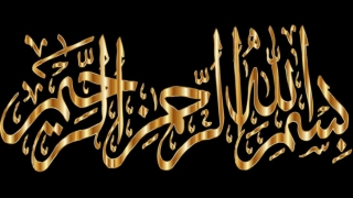 Monosistronic and Polysistronic RNA