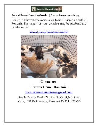 Animal Rescue Donations Needed Fureverhome-romania.org