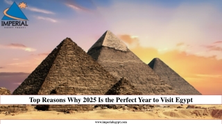 Top Reasons Why 2025 Is the Perfect Year to Visit Egypt
