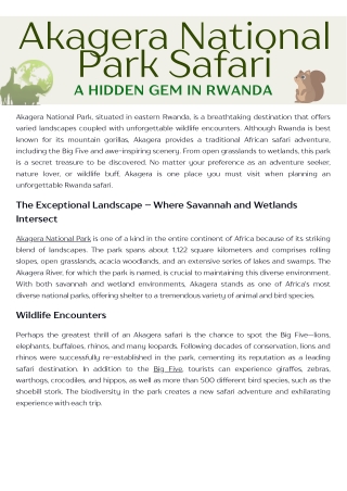 Akagera National Park Safari | A Hidden Gem in Rwanda