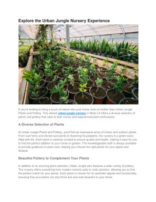 Explore the Urban Jungle Nursery Experience