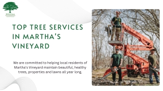 Hard Landscaping Tisbury