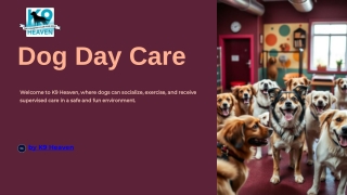 Dog Day Care