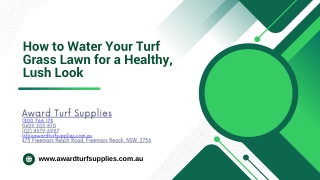 How to Water Your Turf Grass Lawn for a Healthy, Lush Look