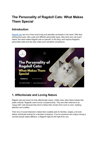 The Personality of Ragdoll Cats_ What Makes Them Special
