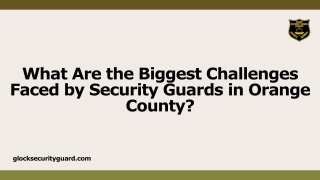 What Are the Biggest Challenges Faced by Security Guards in Orange County?