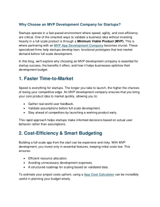 Top Reasons Startups Should Partner with an MVP Development Company