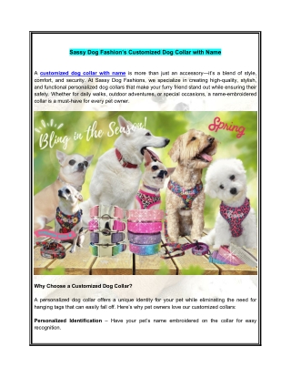 Sassy Dog Fashion’s Customized Dog Collar with Name