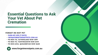 Essential Questions to Ask Your Vet About Pet Cremation