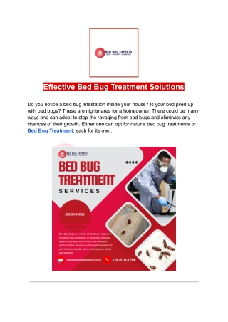 Effective Bed Bug Treatment Solutions