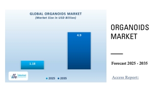 Organoids Market
