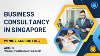 Business consultancy in singapore