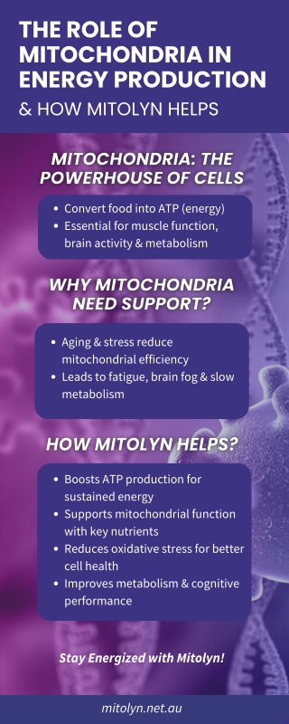 The Role of Mitochondria in Energy Production & How Mitolyn Helps