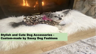 Stylish and Cute Dog Accessories - Custom-made by Sassy Dog Fashions