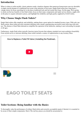 Solitary Flush Toilets: A Typical Choice for Classic Toilet Variations