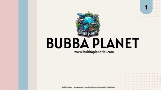 Bubba Planet LA Premium Cannabis Dispensary in NYC & California