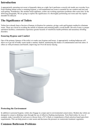 The value of a Properly Functioning Toilet: Why Repairs Can not Wait around