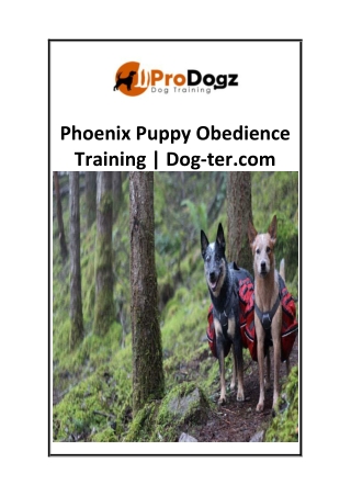 Phoenix Puppy Obedience Training  Dog-ter.com