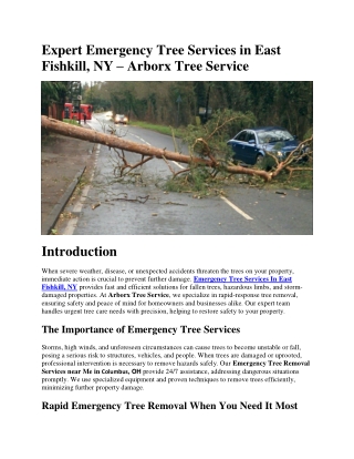 Expert Emergency Tree Services in East Fishkill, NY – Arborx Tree Service