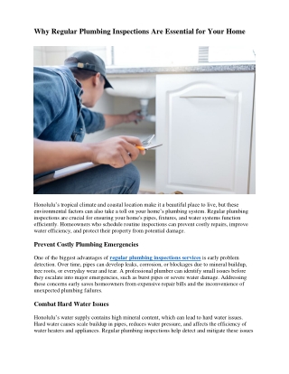 Why Regular Plumbing Inspections Are Essential for Your Home