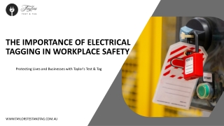 Electrical Tagging Adelaide--Taylor's Test & tag  (3)