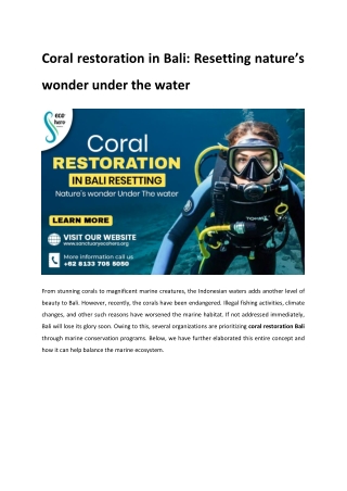 Coral restoration in Bali Resetting nature’s wonder under the water