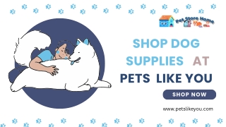 Shop Dog  Supplies at Pets  Like You