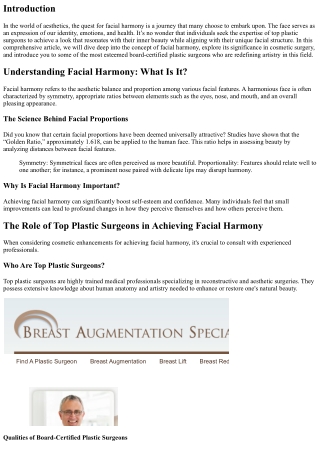Facial Harmony': Discovering Artistry with Renowned Top Plastic Experts